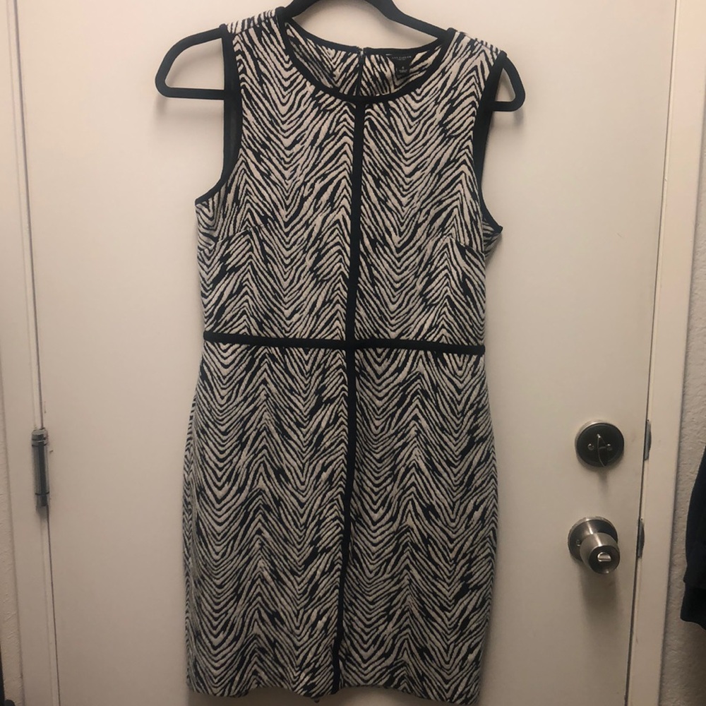 Ann Taylor Sleeveless Dress Zebra Stipe
